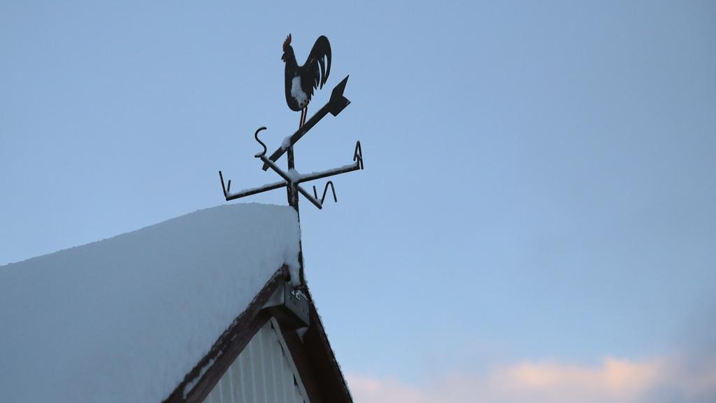 Sel Guesthouse Skálholt エクステリア 写真
